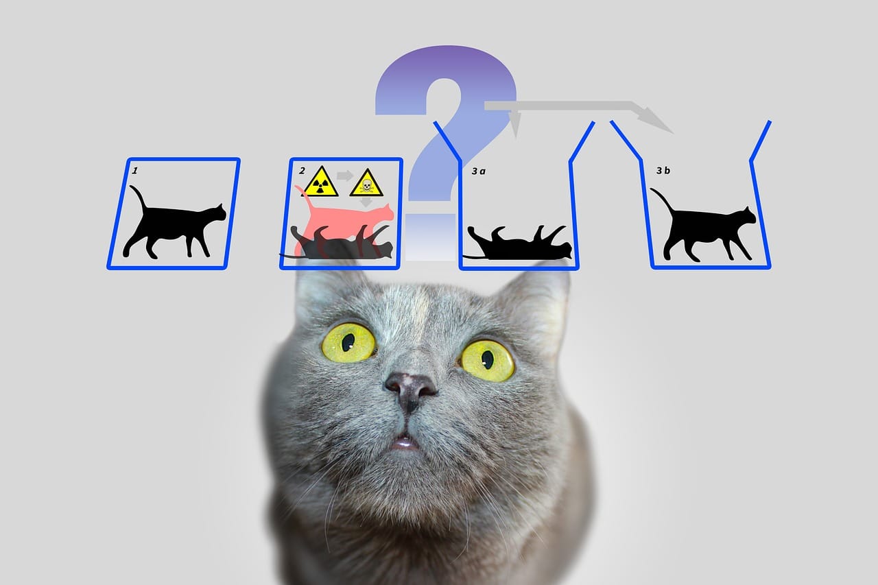 Agentic AI: killing Schrödinger’s cat