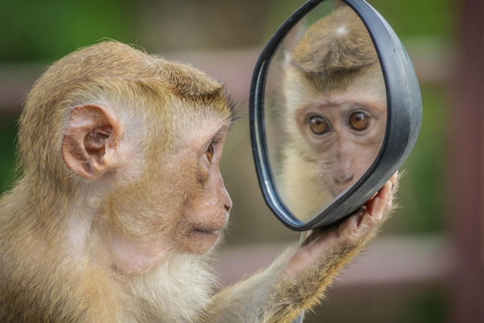 The word they hide behind: How “AI” became the best excuse in corporate history